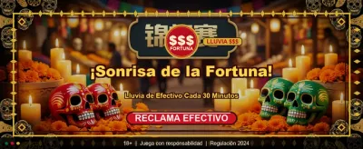 La mejor experiencia en México banner